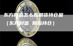 东方财富怎么看期货持仓量（东方财富 期指持仓）