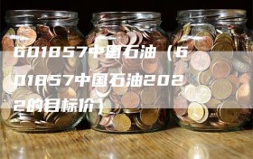 601857中国石油（601857中国石油2022的目标价）