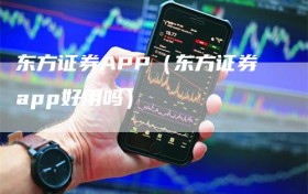 东方证券APP（东方证券app好用吗）