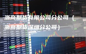 浙商期货有限公司分公司（浙商期货深圳分公司）