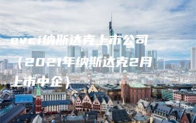 evci纳斯达克上市公司（2021年纳斯达克2月上市中企）