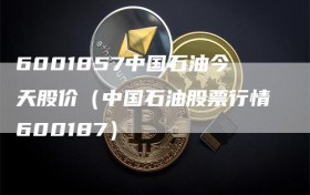 6001857中国石油今天股价（中国石油股票行情600187）