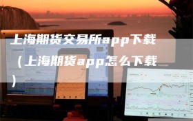 上海期货交易所app下载（上海期货app怎么下载）