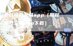 期权模拟交易app（期权模拟交易app下载）