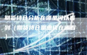 期货持仓分析在哪里可以看到（期货持仓量曲线在哪看）