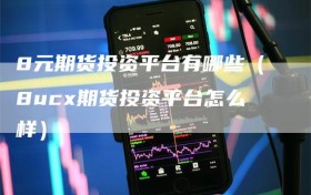 8元期货投资平台有哪些（8ucx期货投资平台怎么样）