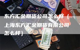 东方汇金期货公司怎么样（上海东方汇金期货有限公司怎么样）