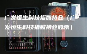 广发恒生科技指数持仓（广发恒生科技指数持仓股票）