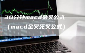 30分钟macd金叉公式（macd金叉死叉公式）