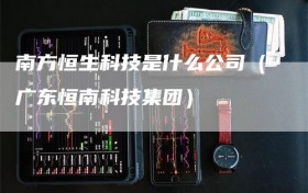 南方恒生科技是什么公司（广东恒南科技集团）