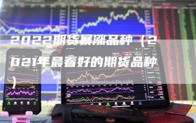 2022期货暴涨品种（2021年最看好的期货品种）