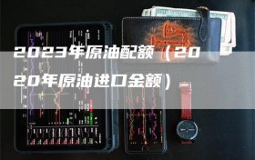 2023年原油配额（2020年原油进口金额）