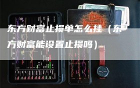 东方财富止损单怎么挂（东方财富能设置止损吗）