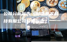 公司分析报告（湖南惠农科技有限公司分析报告）