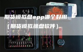 期货模拟盘app哪个好用（期货模拟操盘软件）