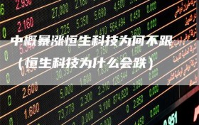 中概暴涨恒生科技为何不跟（恒生科技为什么会跌）