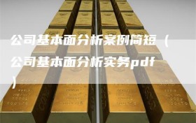 公司基本面分析案例简短（公司基本面分析实务pdf）