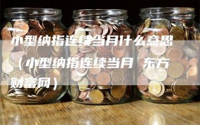 小型纳指连续当月什么意思（小型纳指连续当月 东方财富网）