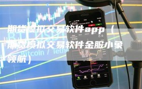 期货模拟交易软件app（期货模拟交易软件金服小象领航）