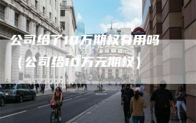 公司给了10万期权有用吗（公司给10万元期权）