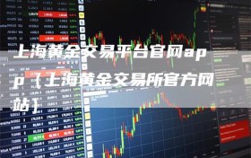 上海黄金交易平台官网app（上海黄金交易所官方网站）