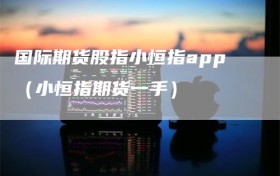 国际期货股指小恒指app（小恒指期货一手）