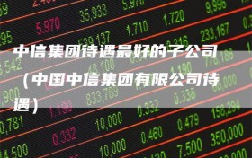 中信集团待遇最好的子公司（中国中信集团有限公司待遇）