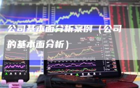 公司基本面分析案例（公司的基本面分析）