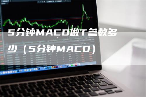 5分钟MACD做T参数多少（5分钟MACD）