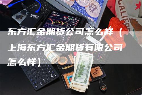 东方汇金期货公司怎么样（上海东方汇金期货有限公司怎么样）