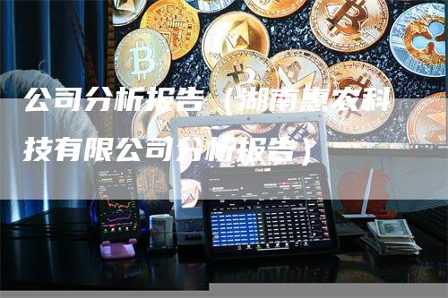 公司分析报告（湖南惠农科技有限公司分析报告）