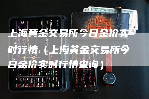 上海黄金交易所今日金价实时行情（上海黄金交易所今日金价实时行情查询）