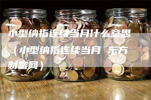 小型纳指连续当月什么意思（小型纳指连续当月 东方财富网）